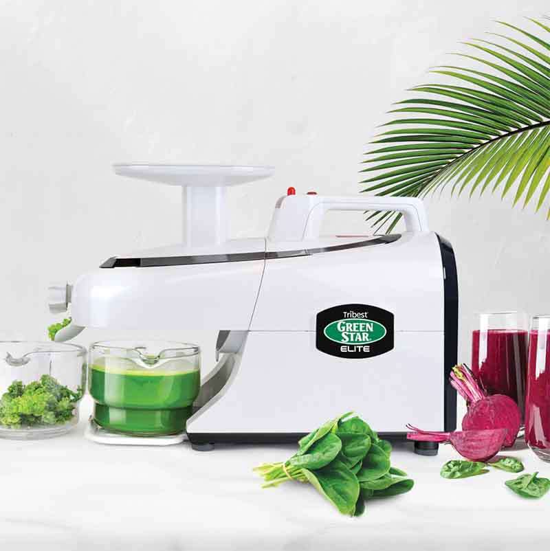グリーンスターGREENSTAR エリート　GSE-5000 圧搾式ジューサー Green Star Elite (GSE-5000) | Saftpresse | GrünePerlen