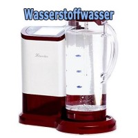 Lourdes Generator HS 81 | Wasserstoffgenerator