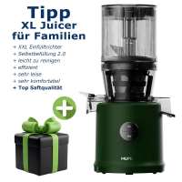 Hurom H80ST Slow Juicer in Kale Green