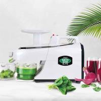 GreenStar Elite Saftpresse (GSE-5000)