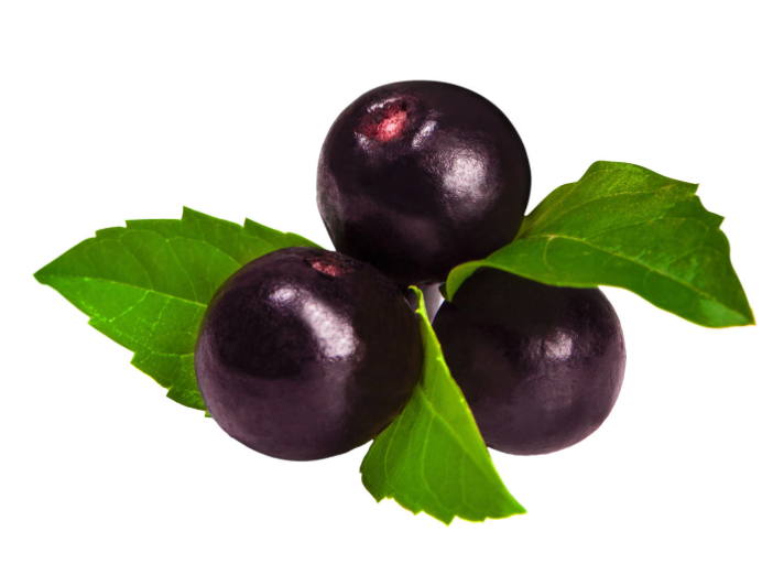 Bone-Fortify-Blueberry-image2QFxiK9LCMoud