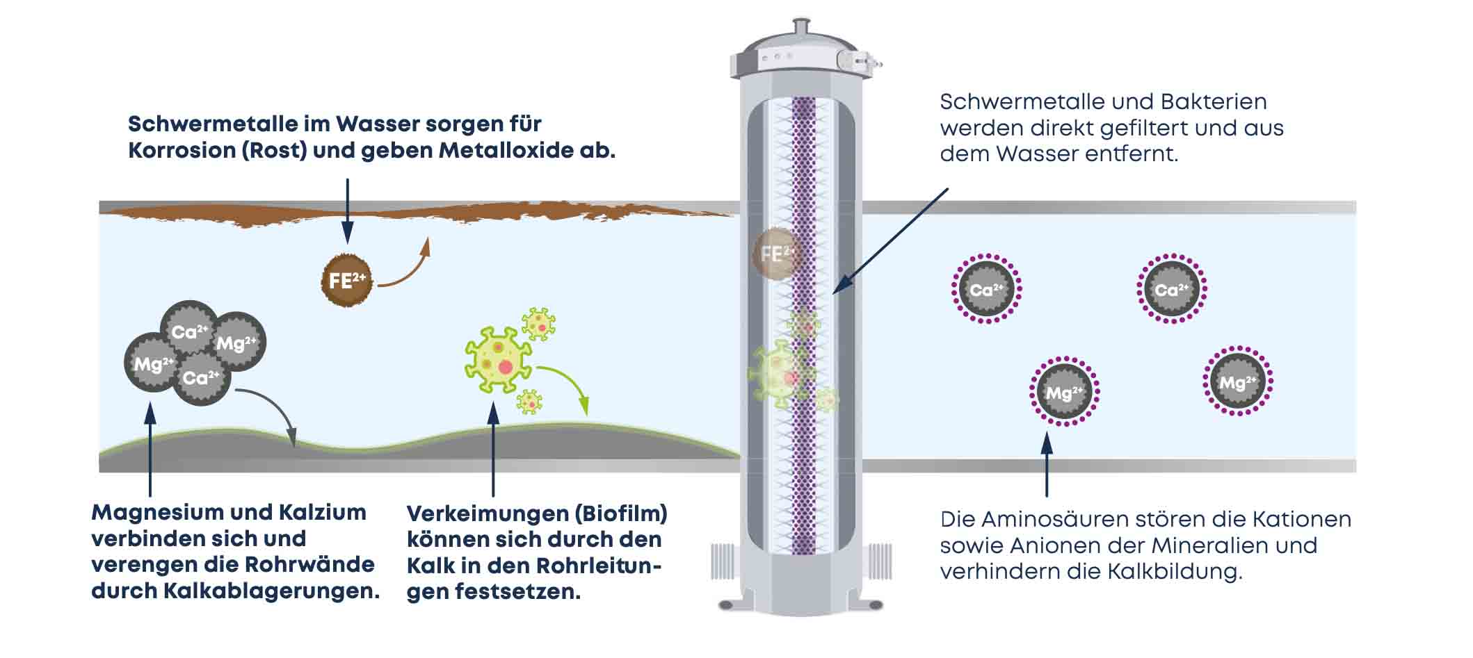 Darstellung_Kalkumwandlung_EVOdrop9YCzYLL8nwb8F