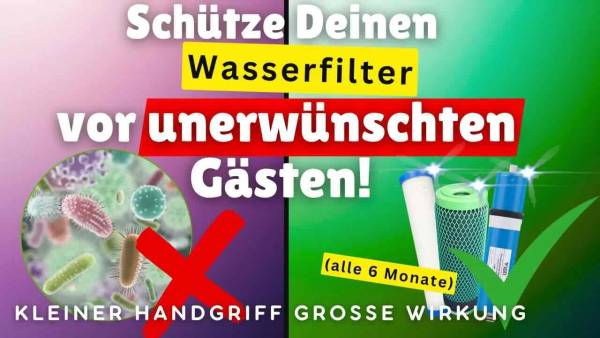 filterwechsel